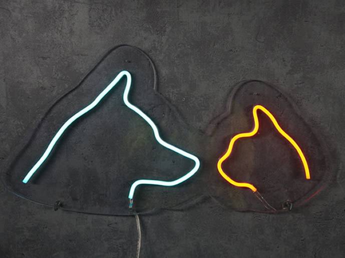 neon Kot i Pies 50x28