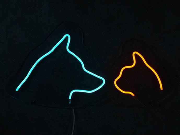 neon Kot i Pies 50x28