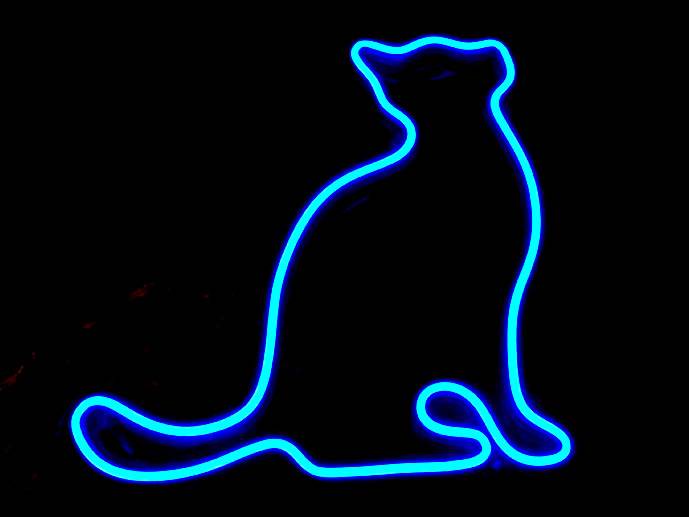 neon Kot2 w zadumie prawy, przezroczysty 29x29cm