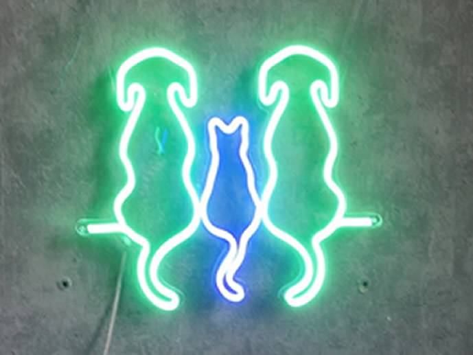 neon Dwa psy i kot pzezroczysty 35x30cm