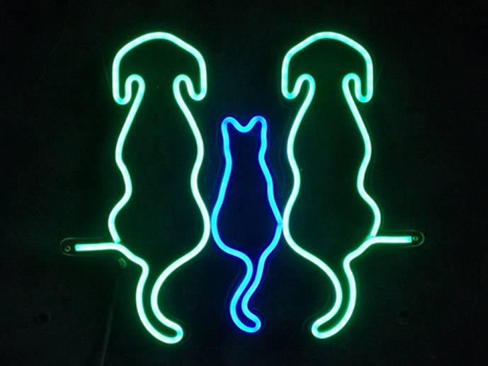 neon Dwa psy i kot pzezroczysty 35x30cm