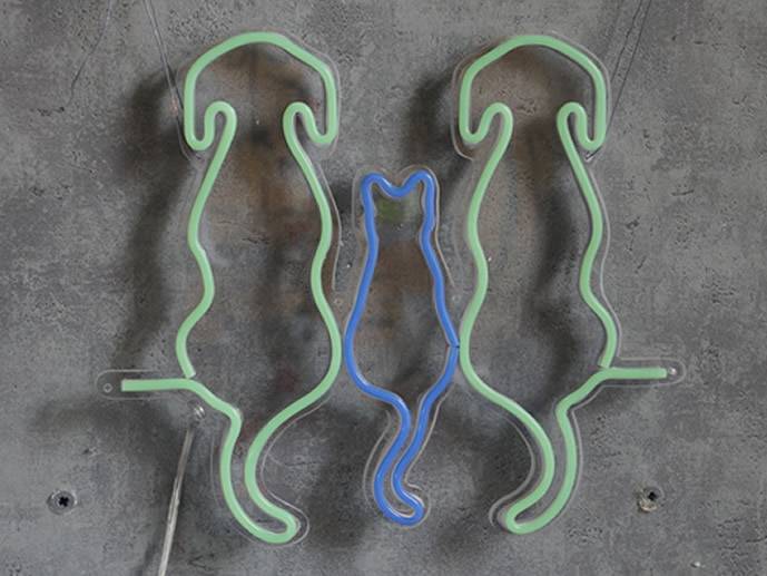 neon Dwa psy i kot pzezroczysty 35x30cm