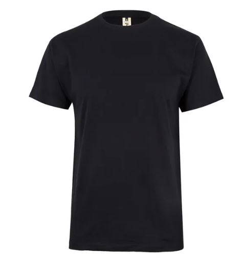 Koszulka robocza T-shirt PALM w kolorze czarnym rozmiar L AVACORE
