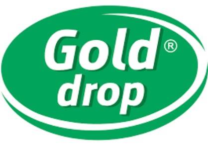 Płyn czyszcząco-wybielający do WC DIX Strong 750 ml GOLD DROP