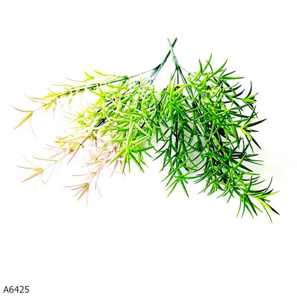 GAŁĄZKA ASPARAGUS A6425