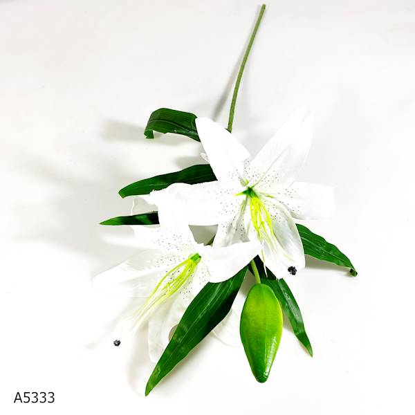 LILIA DŁUGA 3 ' A5333