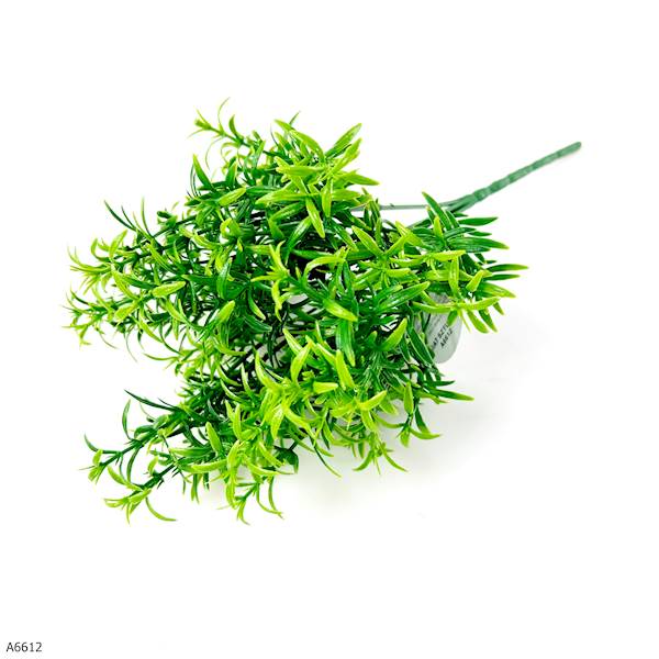 GAŁĄZKA ASPARAGUS A6612