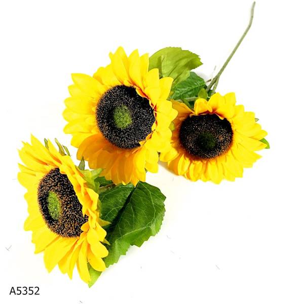 SŁONECZNIK 3' A5352