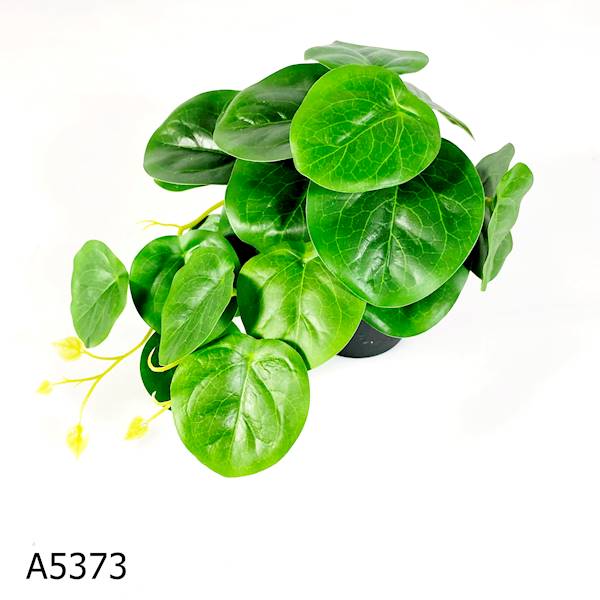 LIŚCIE W DONICZCE A5373