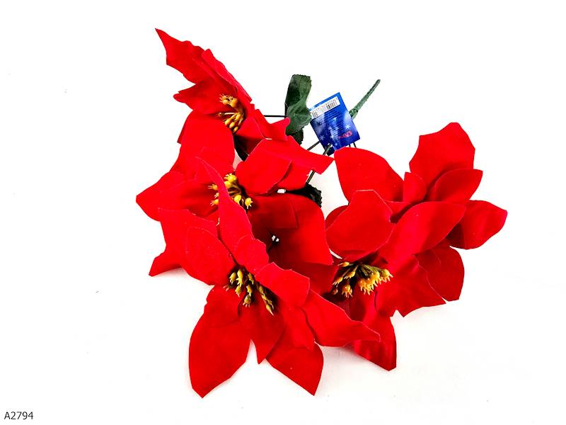 GWIAZDA BETLEJEMSKA MAŁA 5"