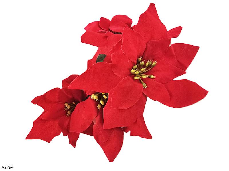 GWIAZDA BETLEJEMSKA MAŁA 5"