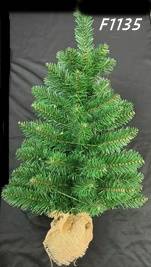 CHOINKA ZIELONA W DONICZCE