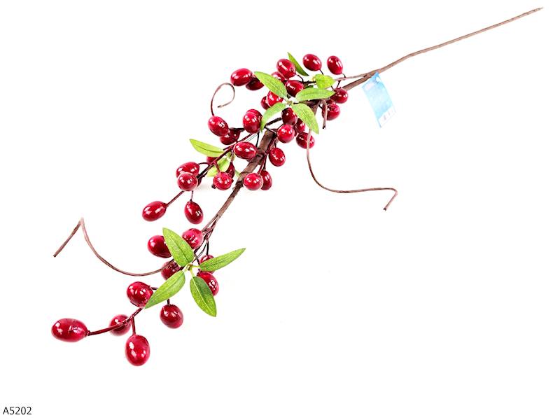 GAŁĄZKA JARZĘBINY