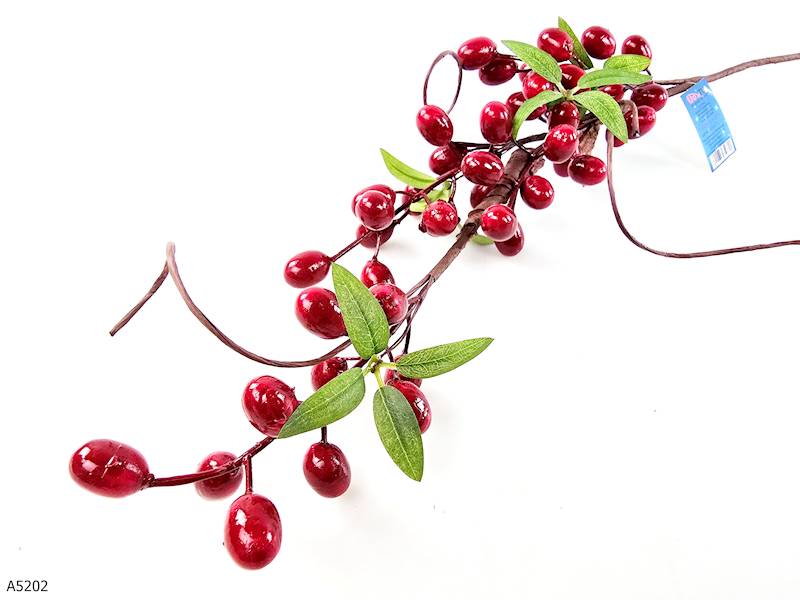 GAŁĄZKA JARZĘBINY