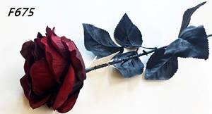 RÓŻA BORDOWO CZARNA 1'