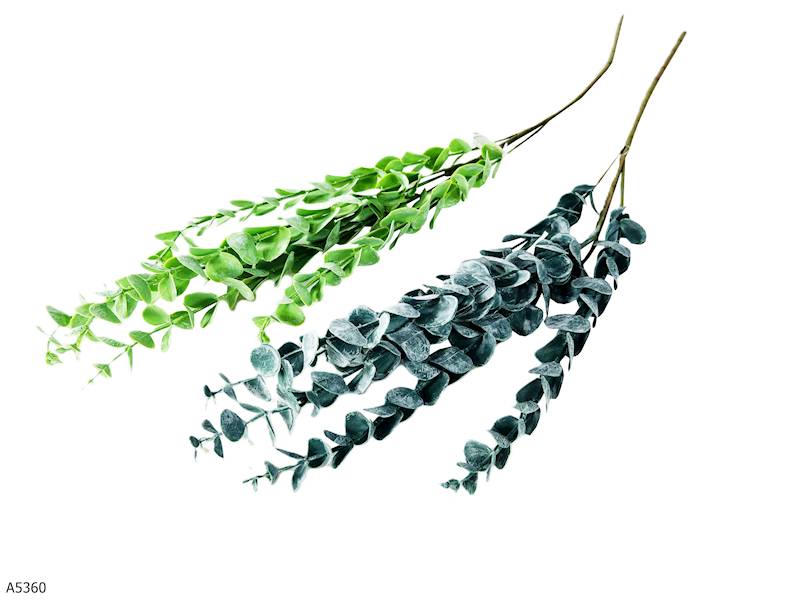 GAŁĄZKA EUKALIPTUS ZMIANA CENY