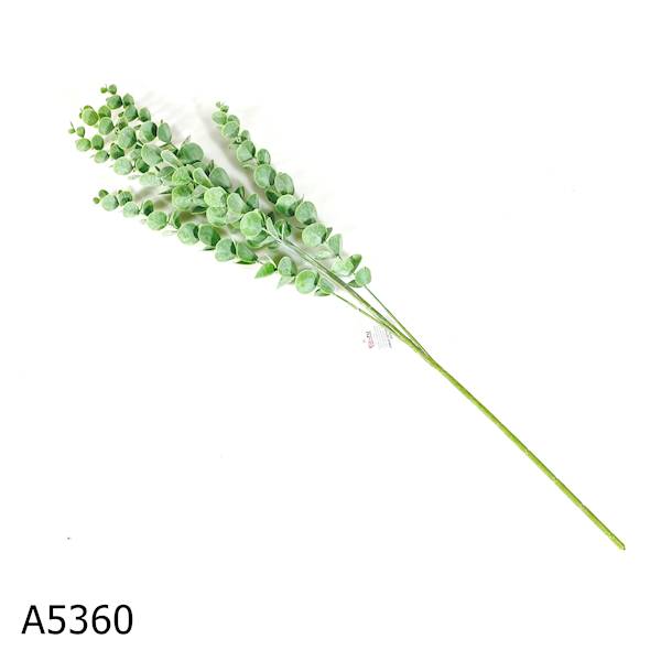 GAŁĄZKA EUKALIPTUS ZMIANA CENY