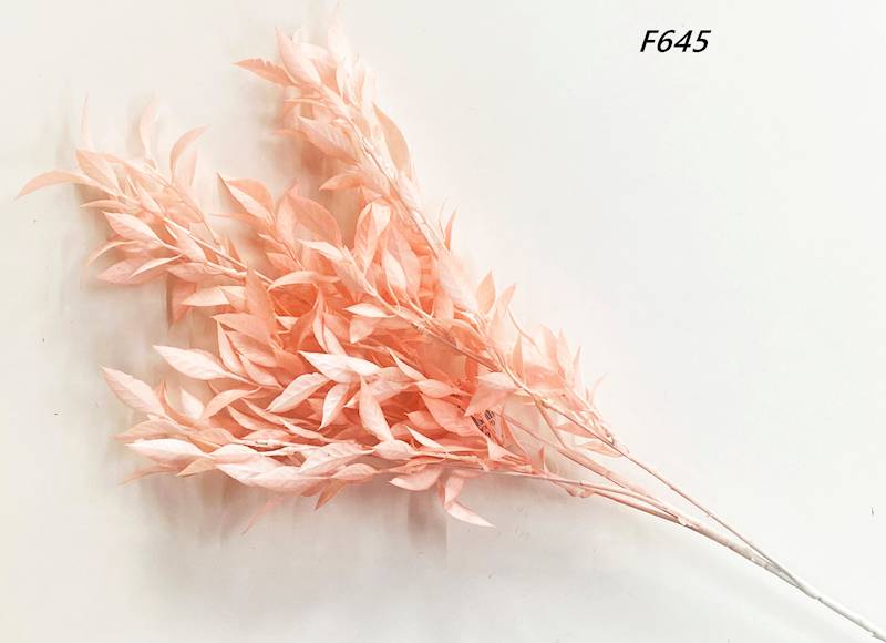 GAŁĄZKA KOLOROWE LIŚCIE