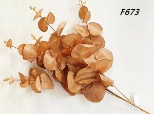 GAŁĄZKA EUKALIPTUS DUŻA