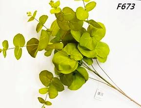 GAŁĄZKA EUKALIPTUS DUŻA