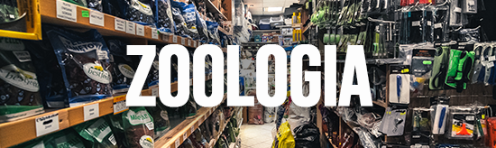 Zoologia