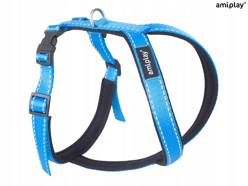 SZELKI PIES AMIPLAY REFLECTIVE L NIEBIESKIE 127493
