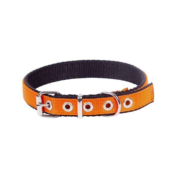OBROŻA ENERGY 65CM POMARAŃCZA DINGO 14608
