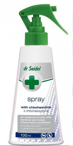 SPRAY Z CHLORHEKSYDYNĄ 100ML DR.SEIDEL
