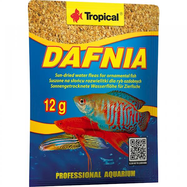 DAFNIA 12G NR.ART01011 TROPICAL