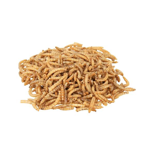 LARWY MĄCZNIKA 70G TX-76391