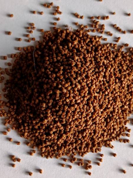 PAN RYBA PERFECT PELLET