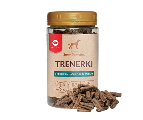 MACED TRENERKI KRÓLIK JABŁKO BURAK