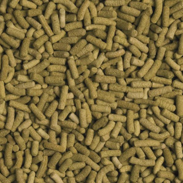 BIOREPT L STICKS 70G\250ML NR.ART.11354 TROPICAL