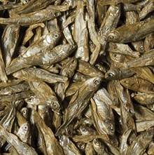 DRIED FISH FOR REPTILES 100ML TROPICAL