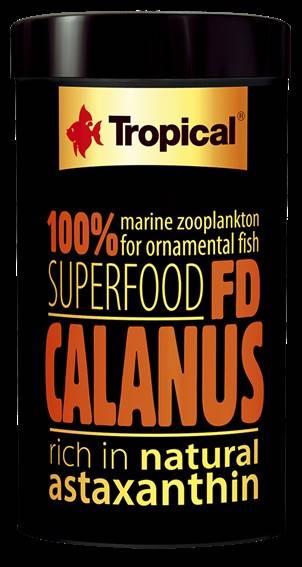 FD CALANUS SUPER FOOD TROPICAL 100ML