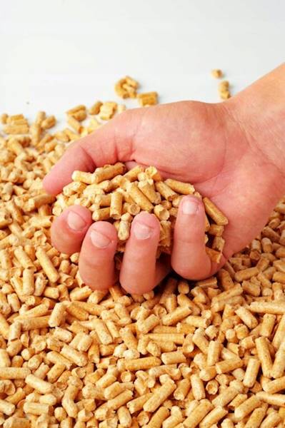 DARY KRASZCZAD PELLET DREWNIANY DLA KOTA 4KG