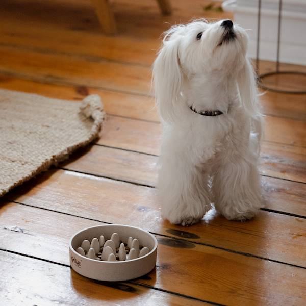 MISKA SPOWALNIAJĄCA JEDZENI DLA PSA. ROZM.M 600ML