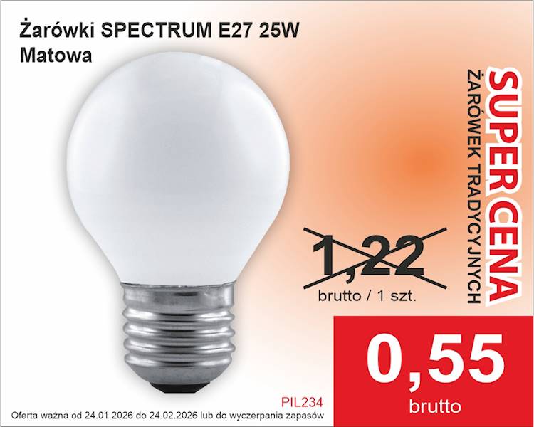 ..E27/25W kulka SPECTRUM MATOWA 