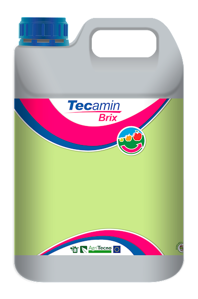 TECAMIN BRIX v2 A5L