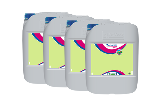4x TECAMIN BRIX v2 A20L
