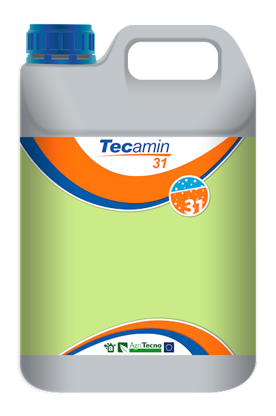 TECAMIN 31 A5L