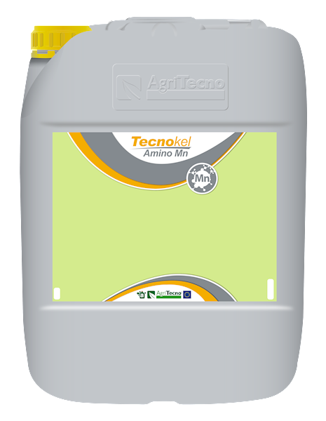 TECNOKEL AMINO MN A20L