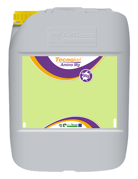 TECNOKEL AMINO MG A20L