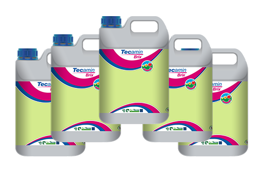 5x TECAMIN BRIX v2 A5L