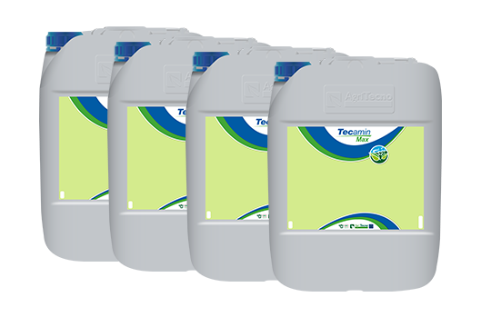 4x TECAMIN MAX A20L
