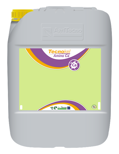 TECNOKEL AMINO CA A20L