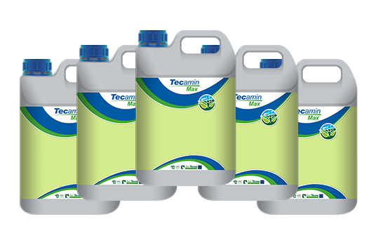 5x TECAMIN MAX A5L