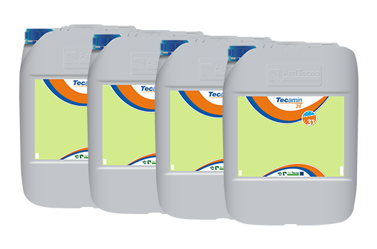 4x TECAMIN 31 A20L