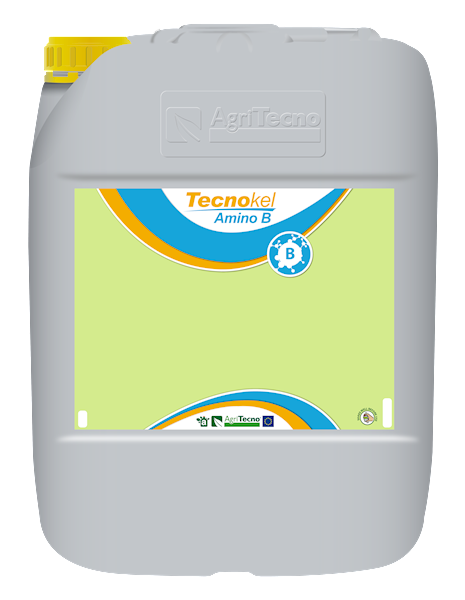 TECNOKEL AMINO B A20L