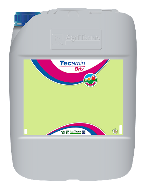TECAMIN BRIX v2 A20L